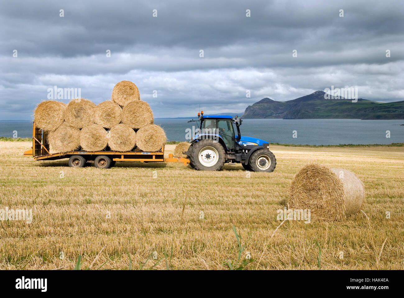 Haymaking in Nefyn, North Wales with The Rivals in the background Stock Photo