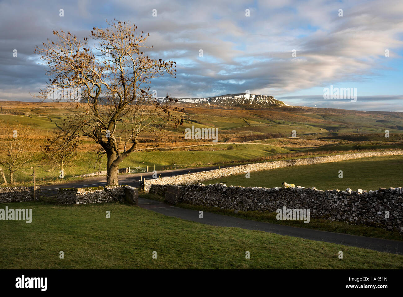 Pen-y-ghent, one of the Three Peaks, seen from Selside, near Settle, North Yorkshire, UK Stock Photo