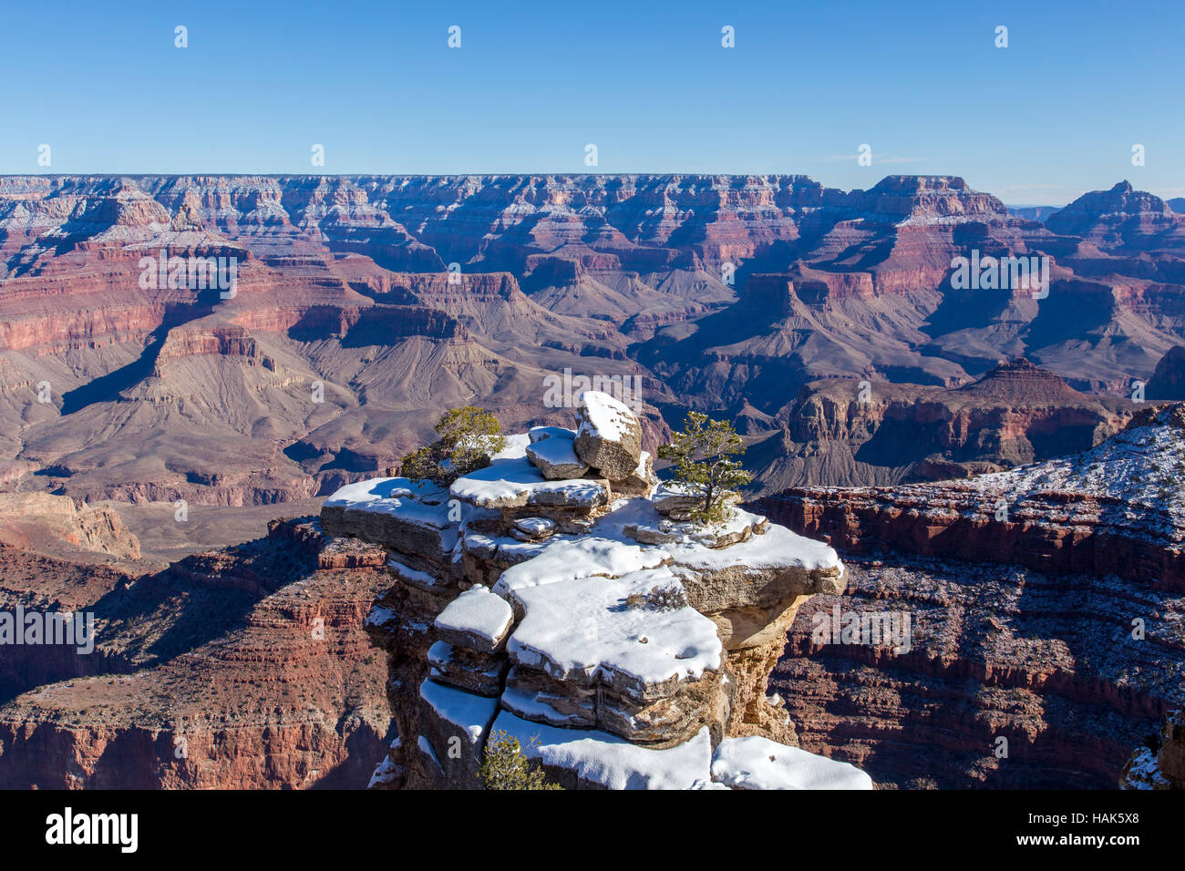 South Rim, Grand Canyon, Arizona, USA Stock Photo