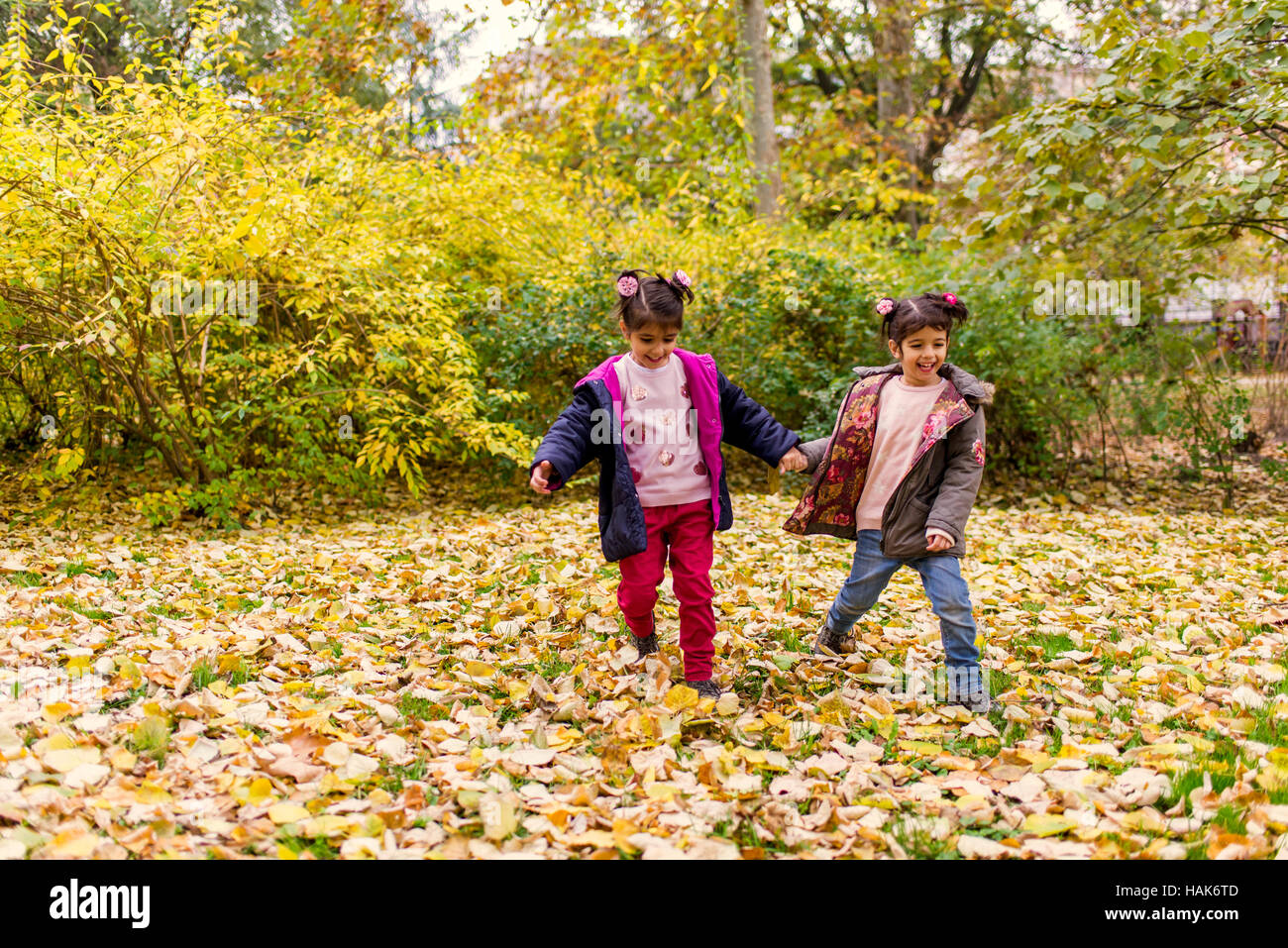 Two little girls having fun in the autumn park Stock Photo - Alamy