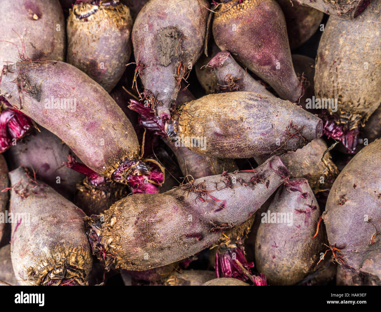 Bunch of fresh organic beetroots shot from above Stock Photo