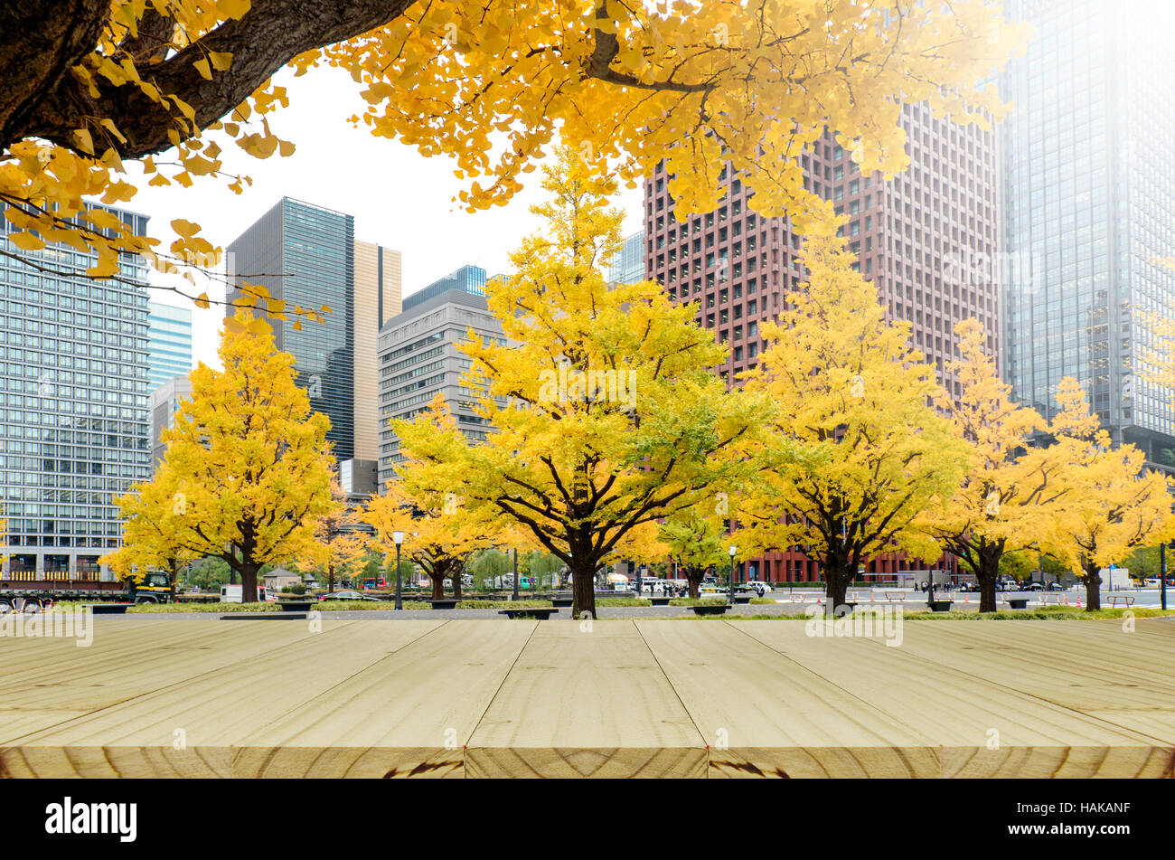 Autumn leaves in Tokyo, Japan. Picnic table in the park with yellow Ginko Leaves in autumn. Stock Photo