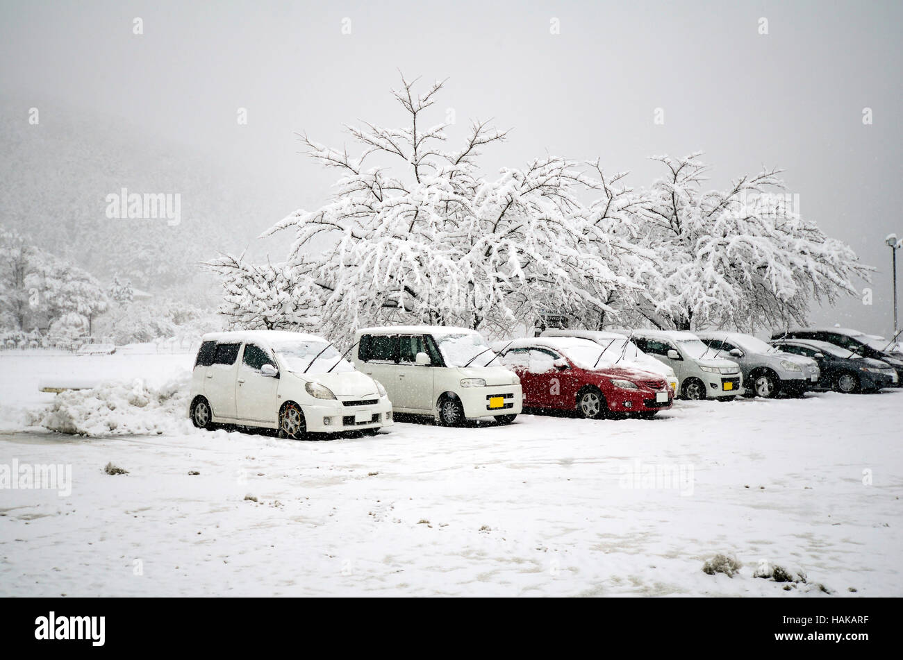 Winter at Kawaguchi-ko, Japan. First snow in 2016. Stock Photo