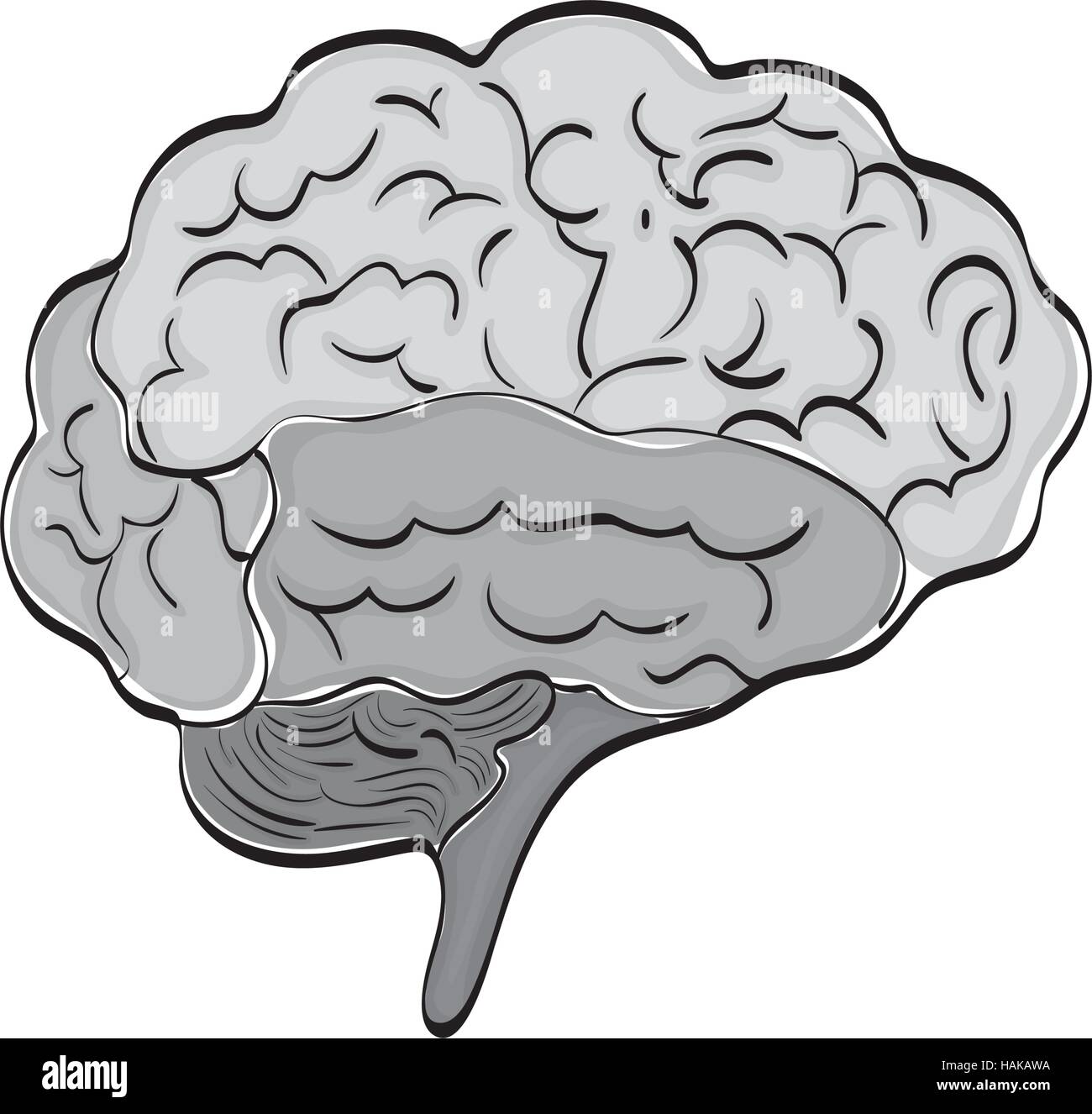 Human brain mind icon vector illustration graphic design Stock Vector ...