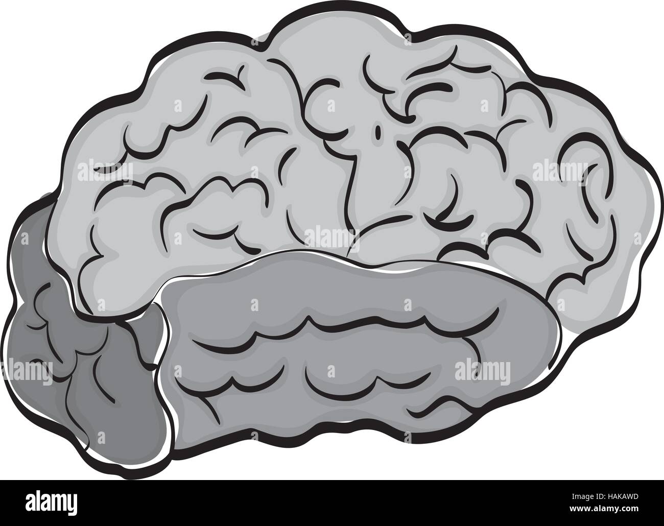 Human brain mind icon vector illustration graphic design Stock Vector ...
