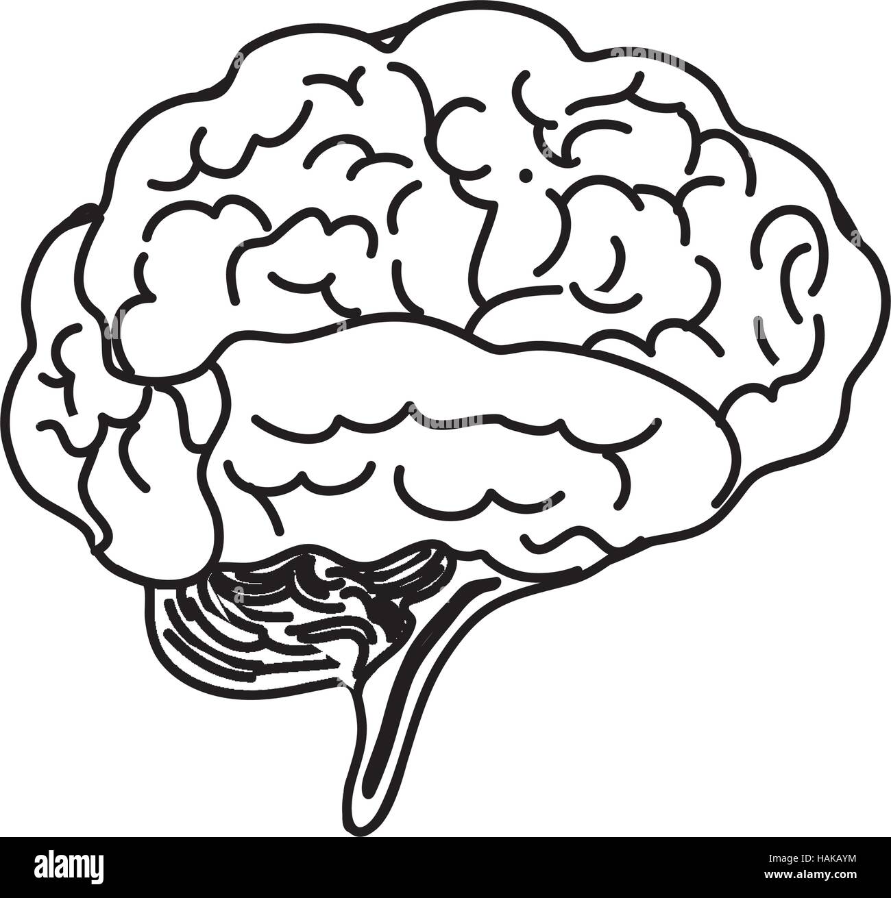 Human brain mind icon vector illustration graphic design Stock Vector ...