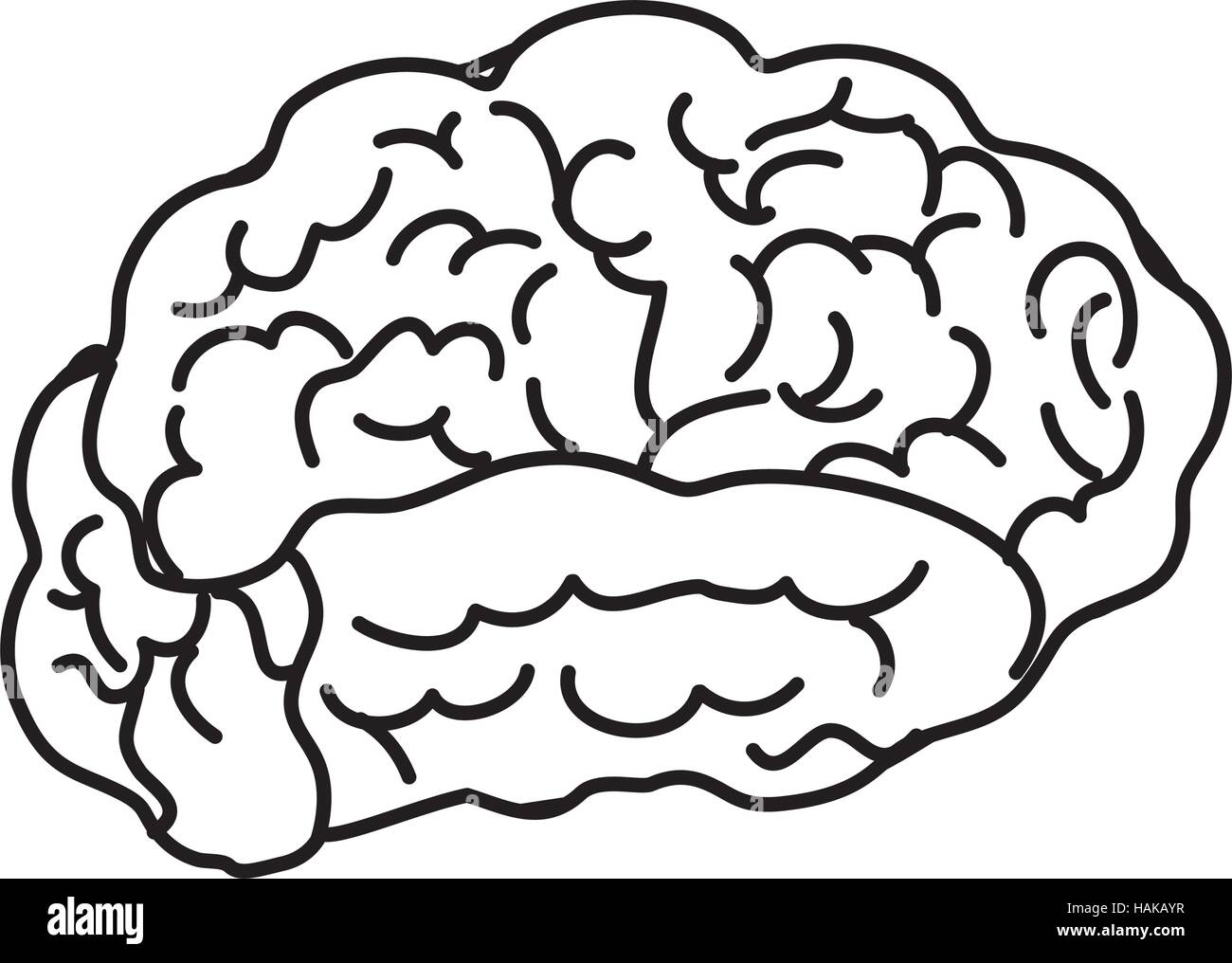 Human brain mind icon vector illustration graphic design Stock Vector ...