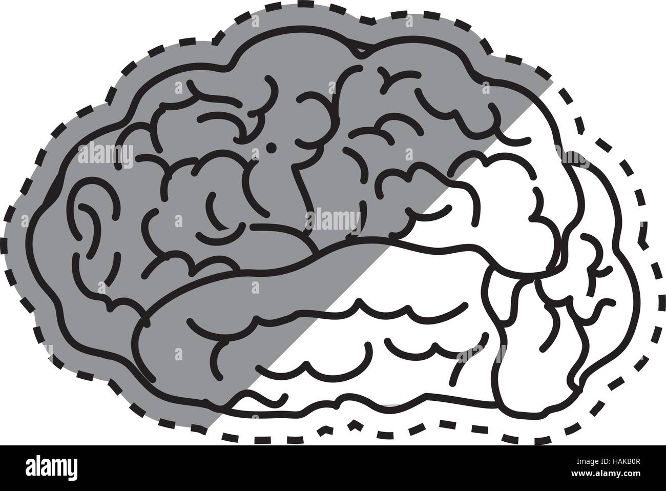 Human brain mind icon vector illustration graphic design Stock Vector ...