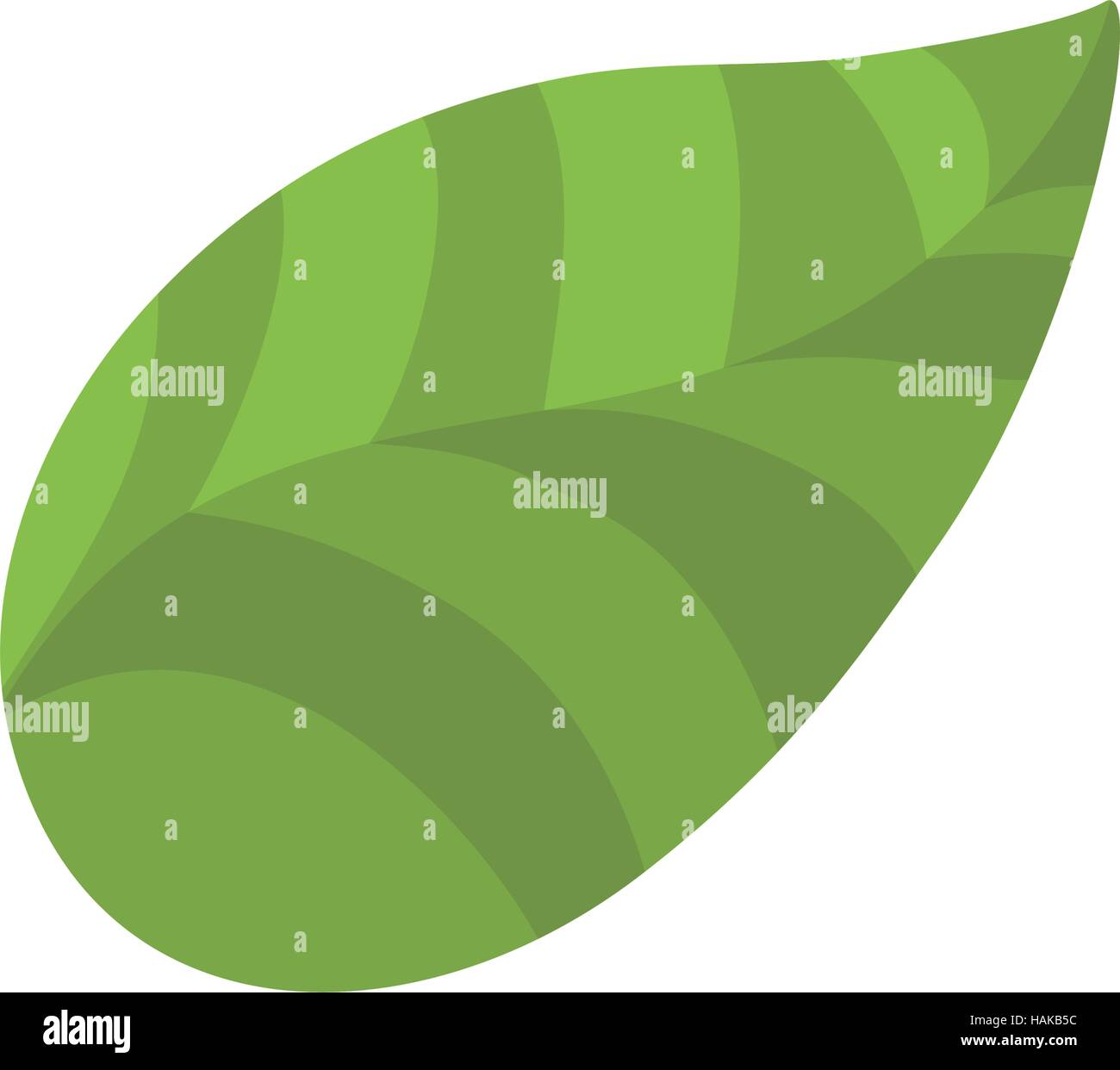 leaf natural ecology icon vector illustration graphic design Stock ...