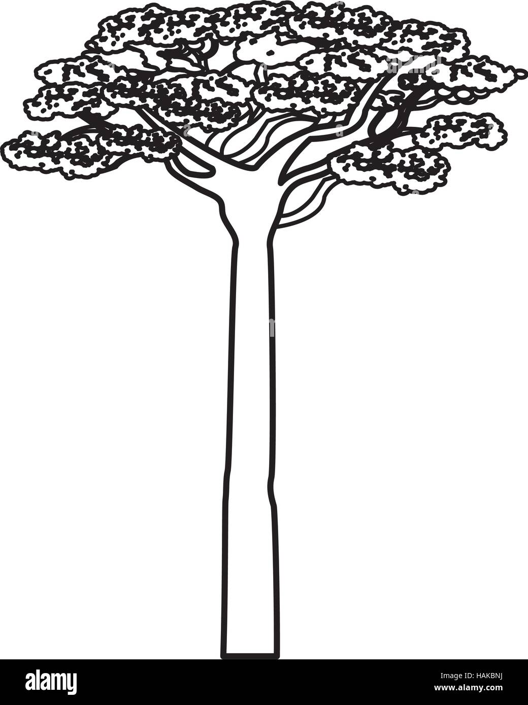 African Acacia Tree Drawing Sketch Coloring Page