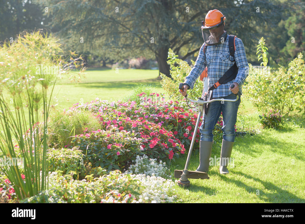 man using a grass trimmer Stock Photo - Alamy