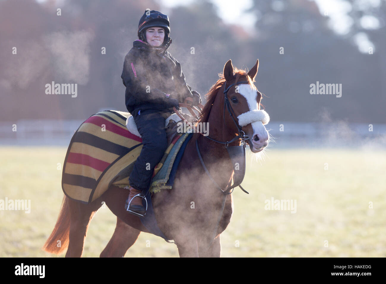 Race horses out at sunrise on Newmarket Gallops in Suffolk on Thursday morning (Jan 5th) after the coldest night of the winter. Stock Photo