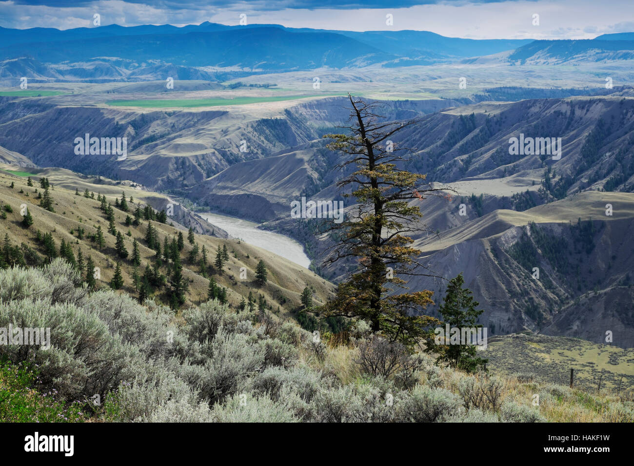Rangeland in the Cariboo Region of British Columbia with the Fraser River and Rocky Mountains in the distance, Canada Stock Photo