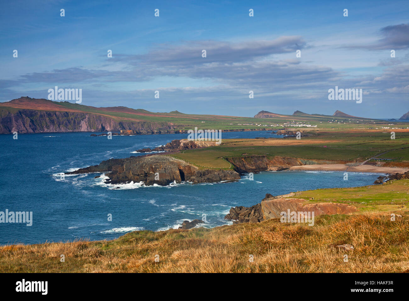 Ballyferriter Bay from Clougher Head, Dingle Peninsula, County Kerry