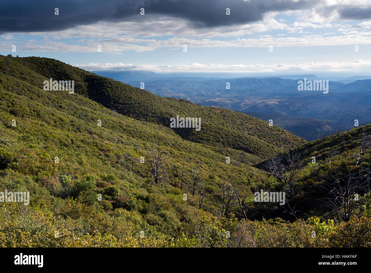 A storm cloud beyond high desert oak treecovered mountains in the
