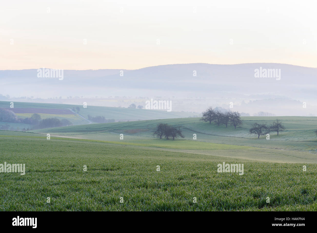 Countryside on Misty Morning at Dawn, Monchberg, Spessart, Bavaria, Germany Stock Photo