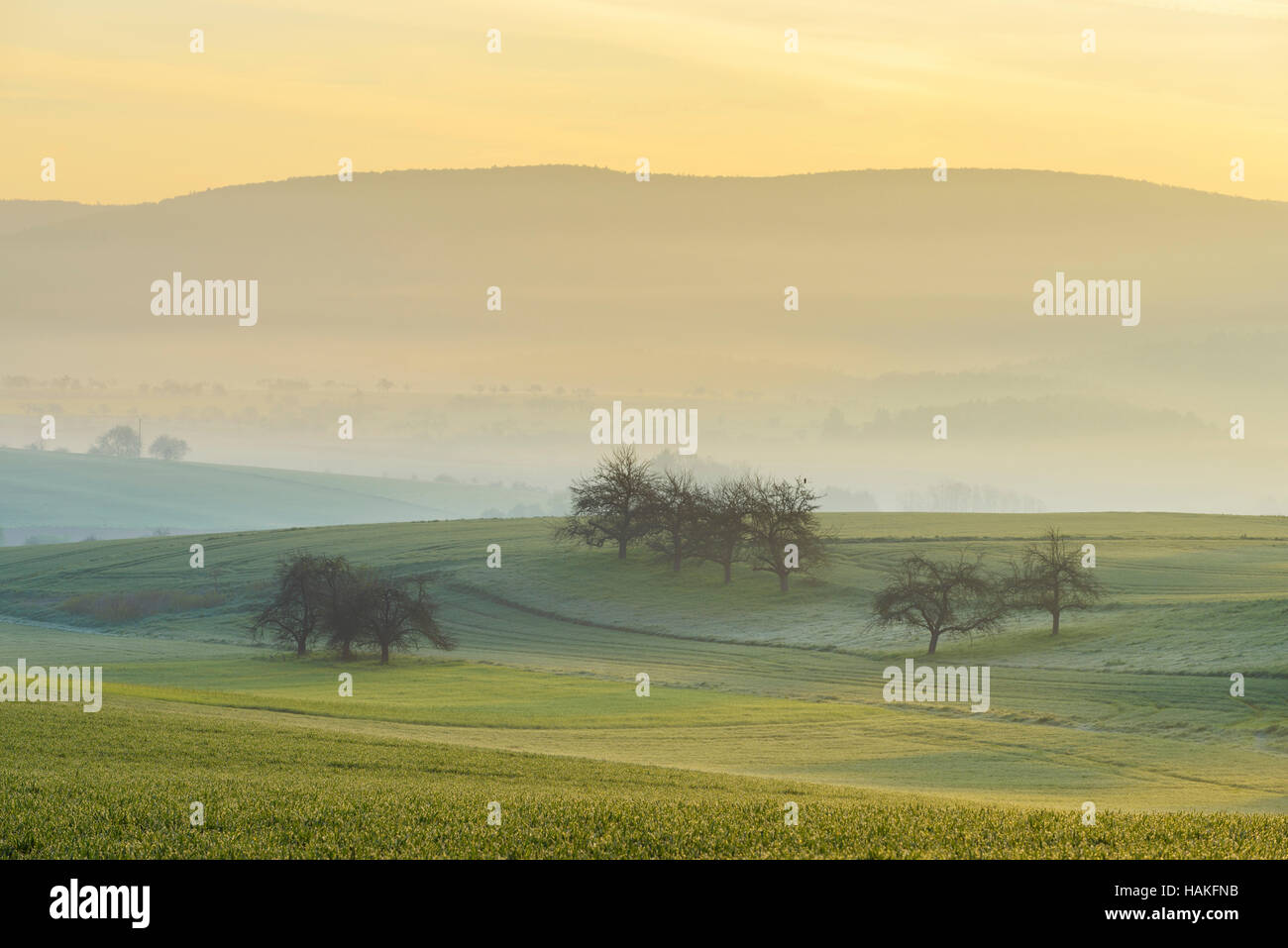 Countryside on Misty Morning, Monchberg, Spessart, Bavaria, Germany Stock Photo
