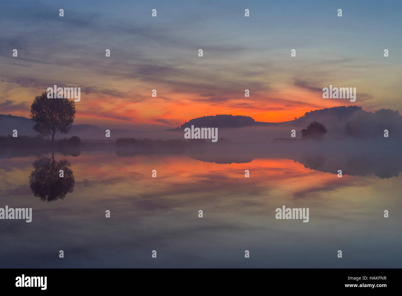 Landscape with Tree Reflecting in Lake at Dawn, Drei Gleichen, Ilm District, Thuringia, Germany Stock Photo