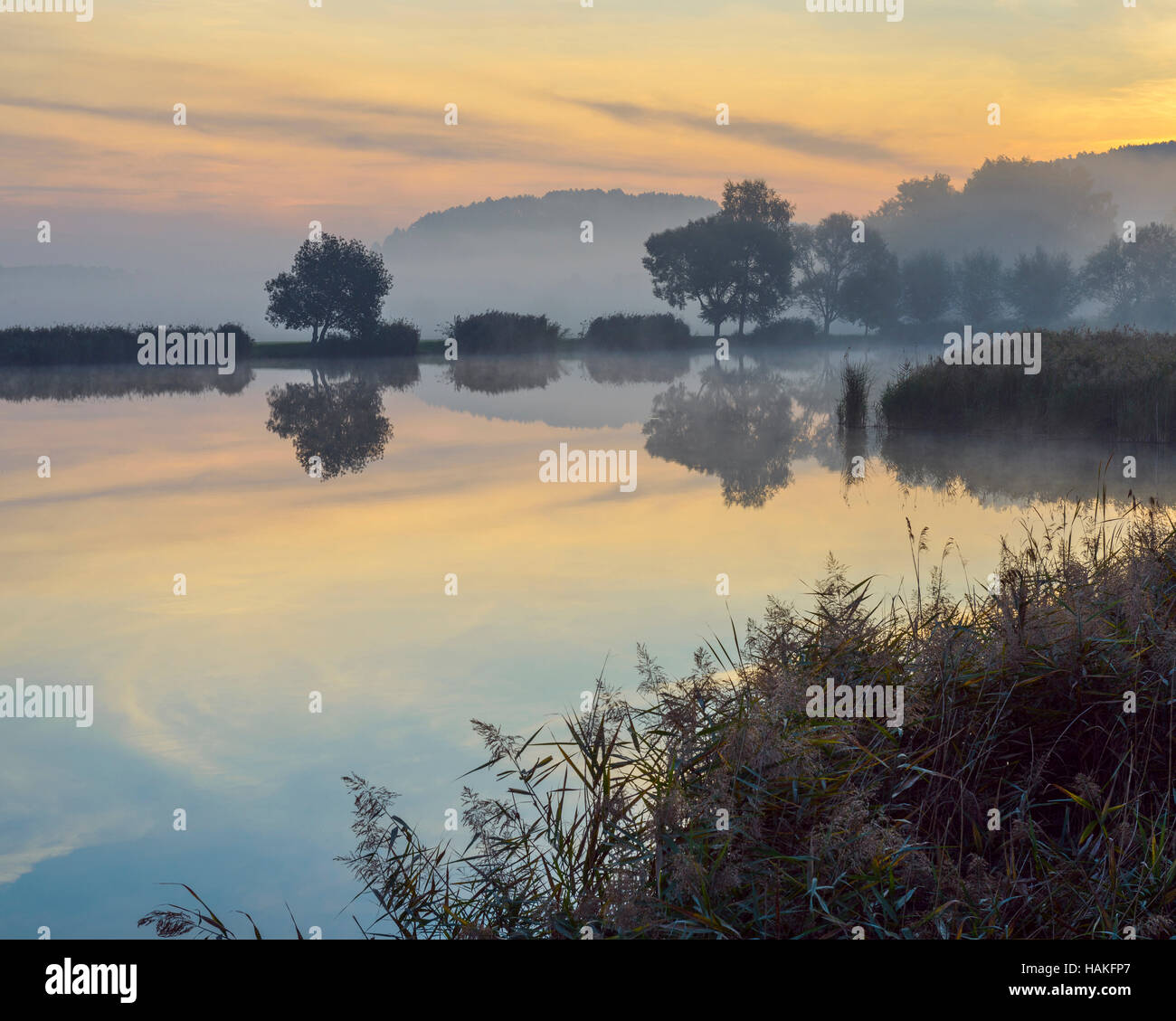 Landscape with Trees Reflecting in Lake at Dawn, Drei Gleichen, Ilm District, Thuringia, Germany Stock Photo