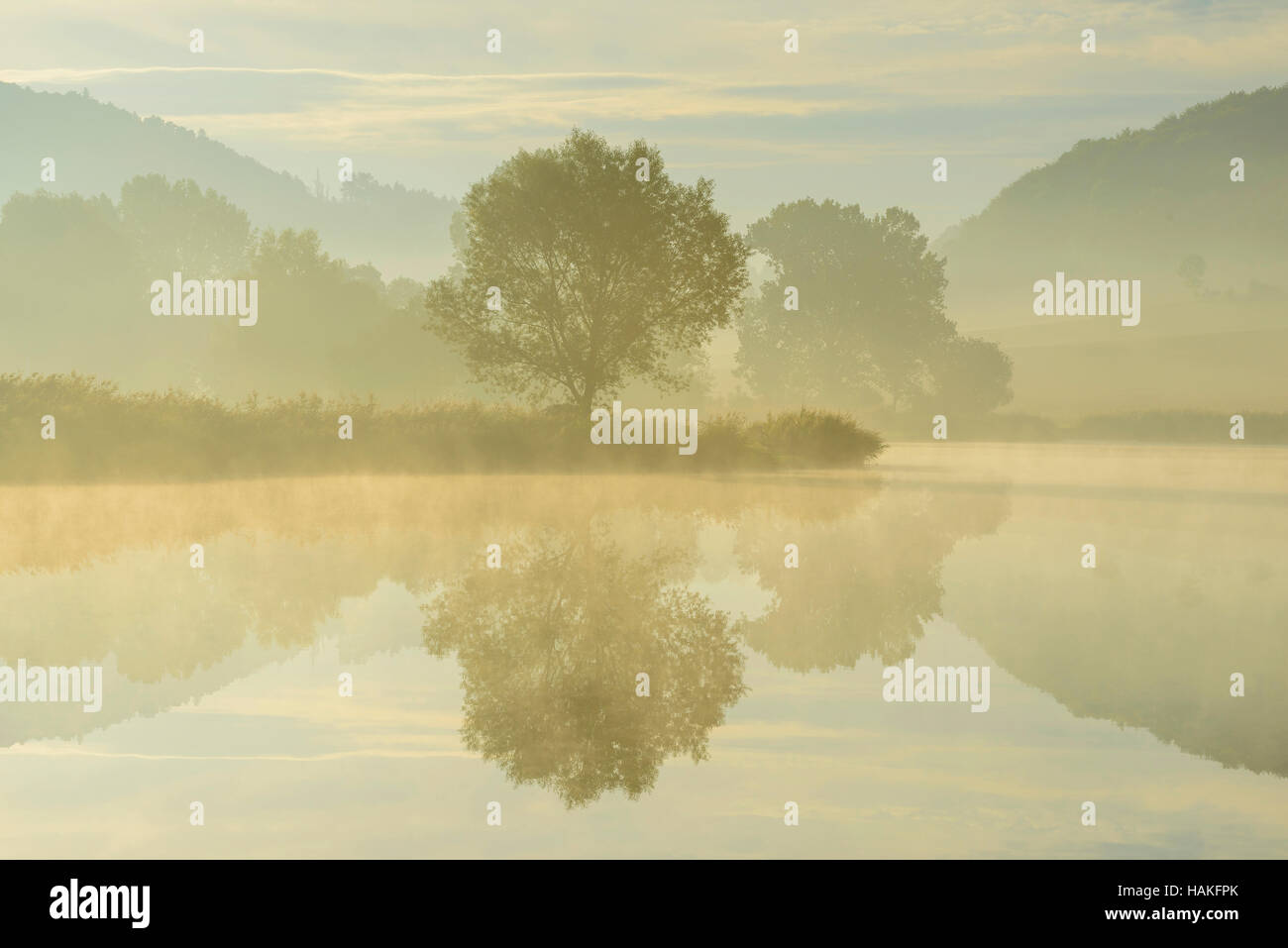 Lake with Trees and Morning Mist, Drei Gleichen, Ilm District, Thuringia, Germany Stock Photo