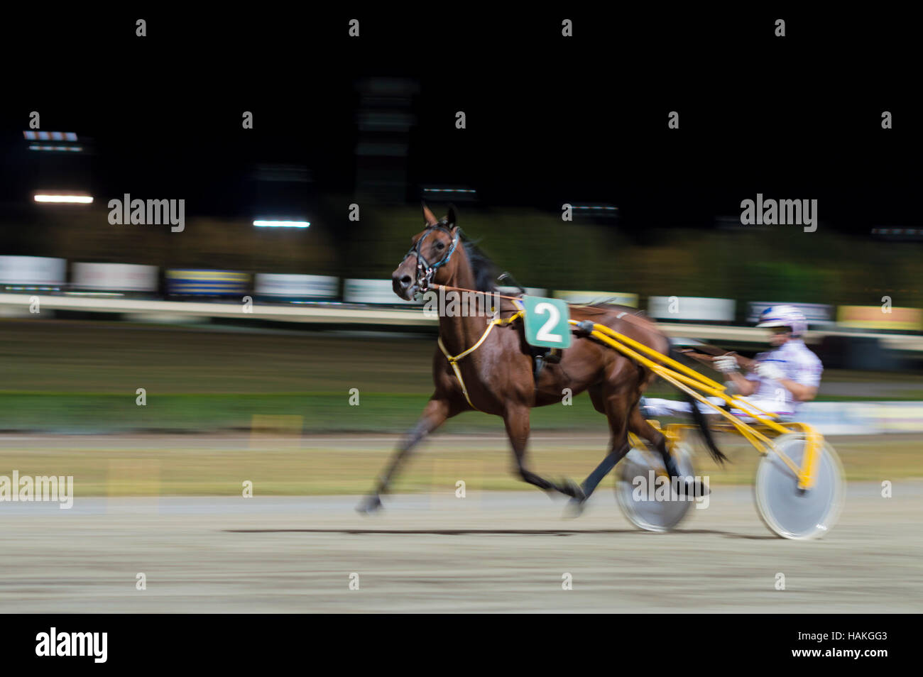 Panning effect - blurred picture night horse race background Stock Photo