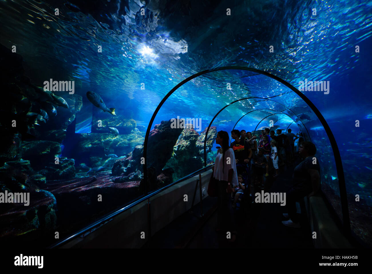 Aquarium tunnel in Barcelona Stock Photo