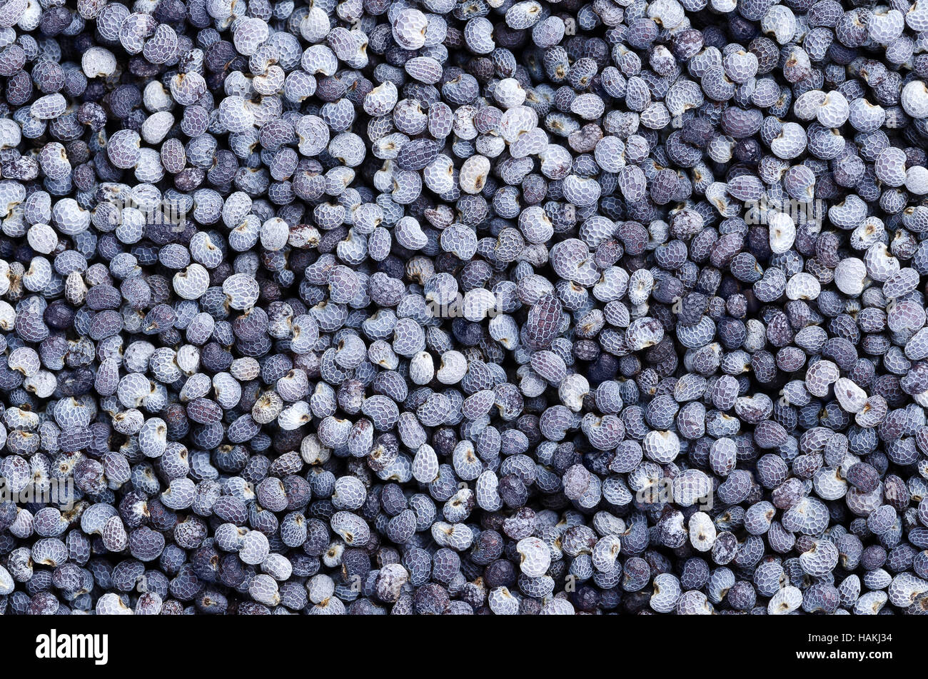 Kidney shaped seeds hires stock photography and images Alamy