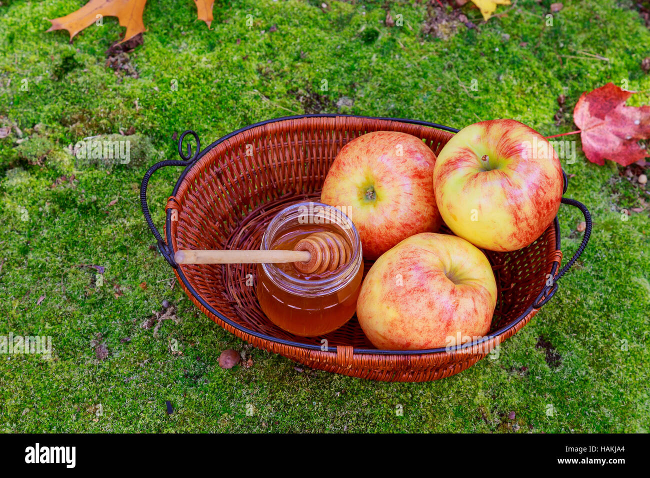 Honey in a glass jar with flowers melliferous herbs and autumn apples Stock Photo