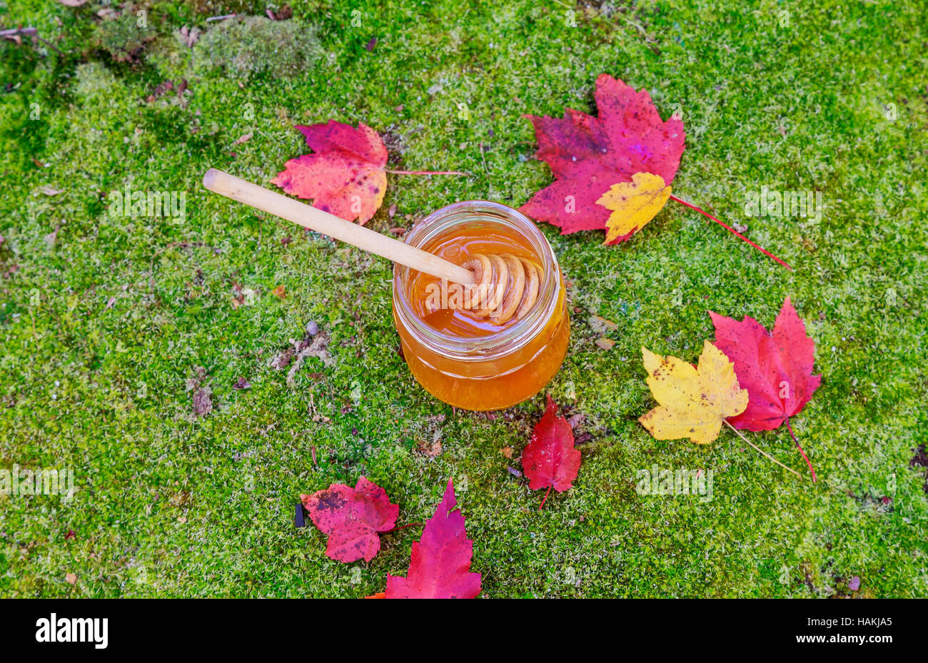 Honey in a glass jar with flowers melliferous herbs on wooden surface. Stock Photo