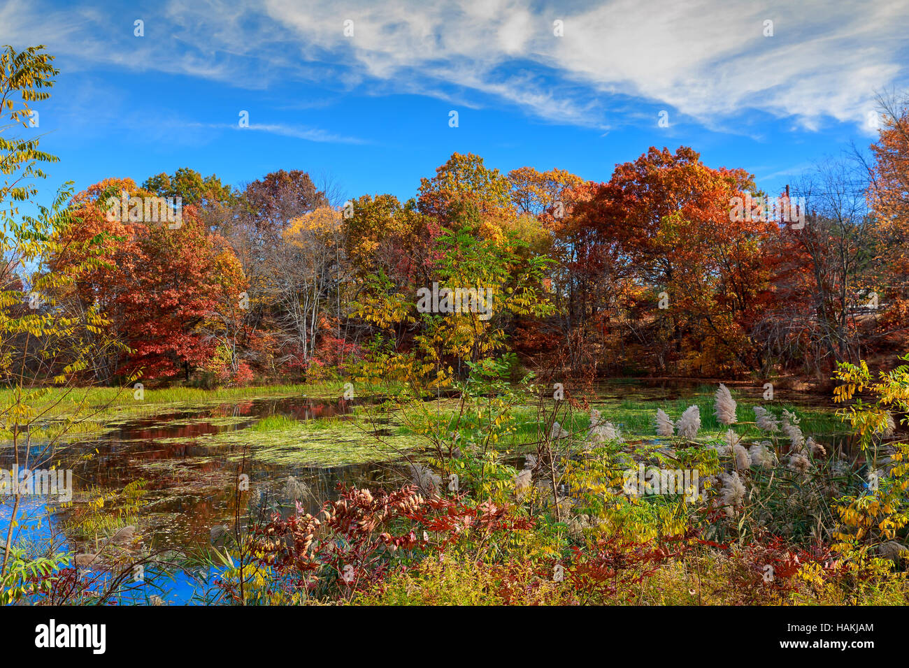 Autumn Landscape. The bright colors in the lake Stock Photo - Alamy