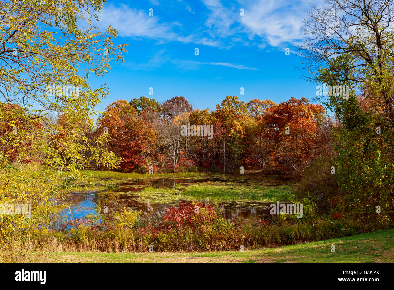 Autumn Landscape. The bright colors in the lake Stock Photo - Alamy