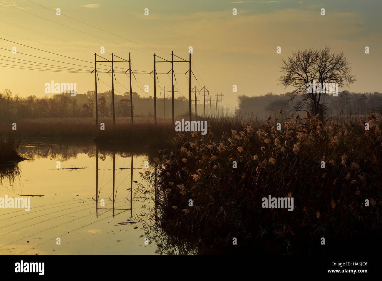 Sunrise over the river morning fog forest Stock Photo - Alamy
