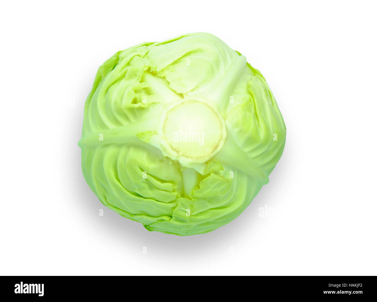 Head of cale, isolated stock image. Image of green, cale - 93403275