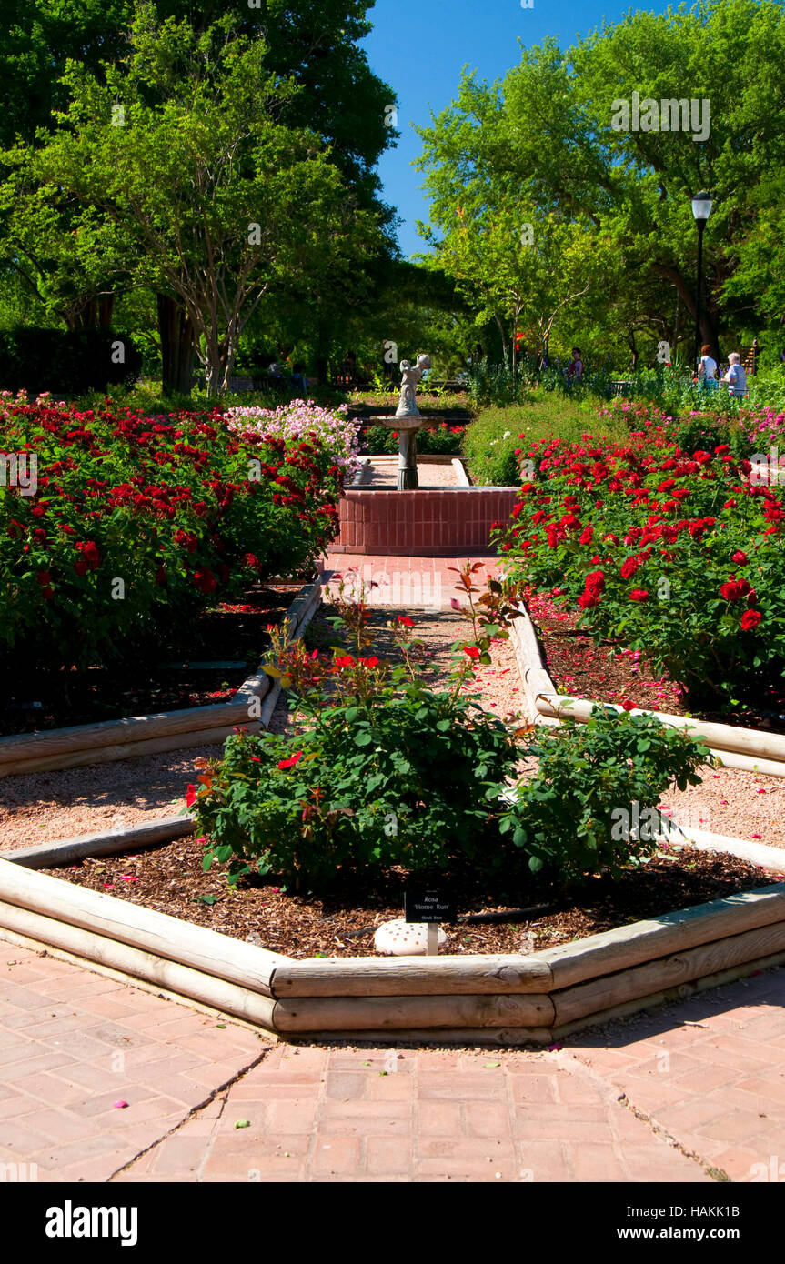 Rose Garden San Antonio Botanical Garden San Antonio Texas