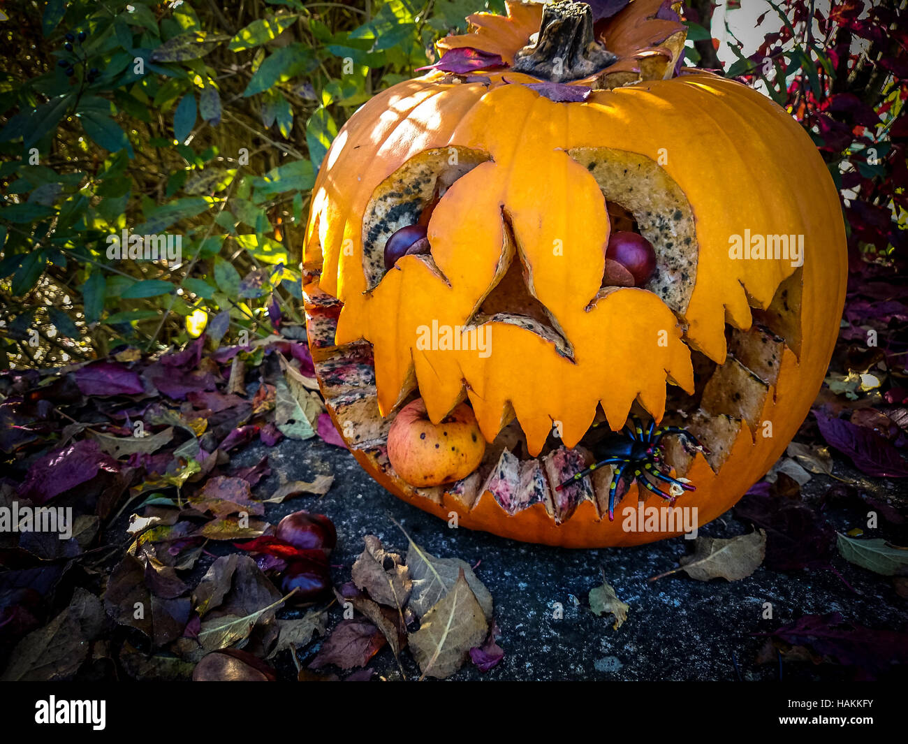 Funny gold yellow Halloween pumpkin in autumn Stock Photo