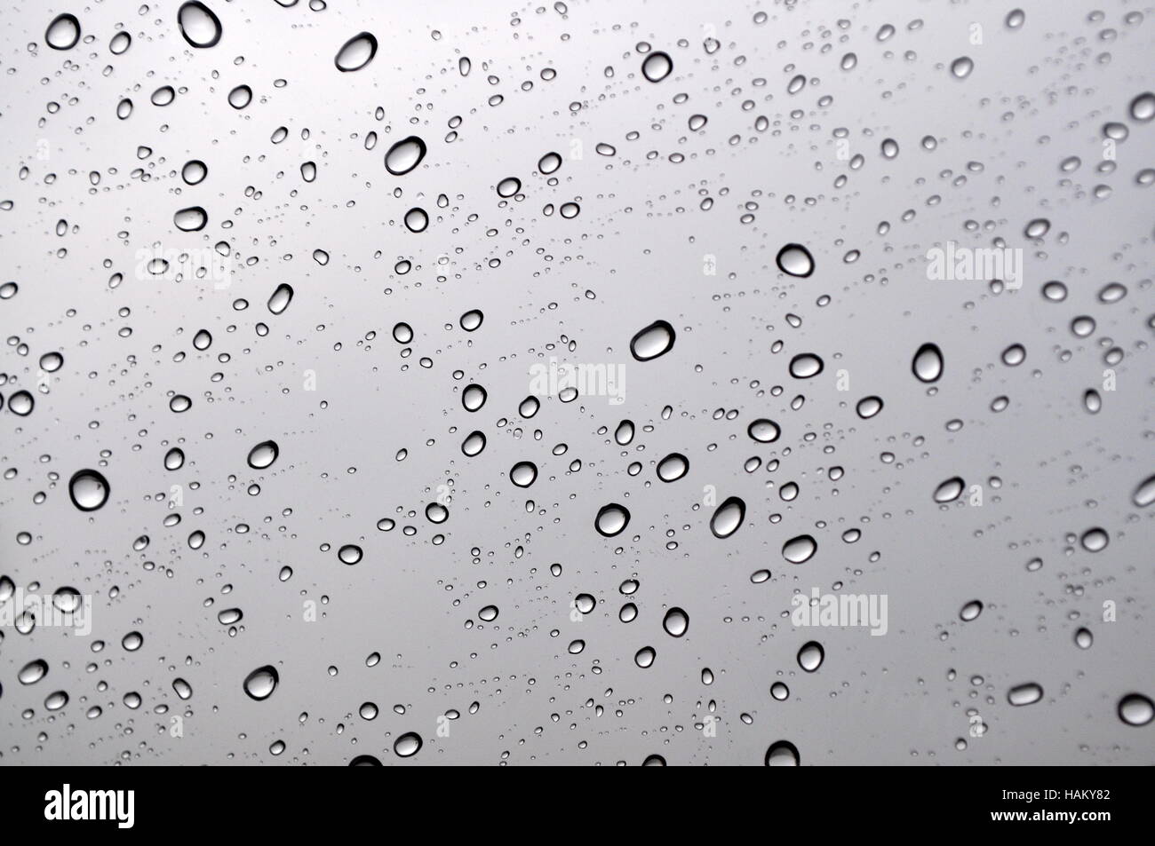 Water drops on window Stock Photo Alamy