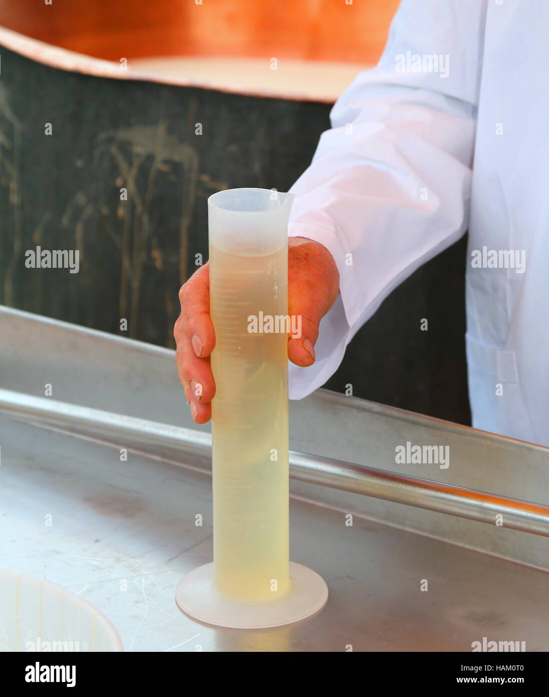 cheesemaker grab with the hand a plastic tube with the rennet to ...