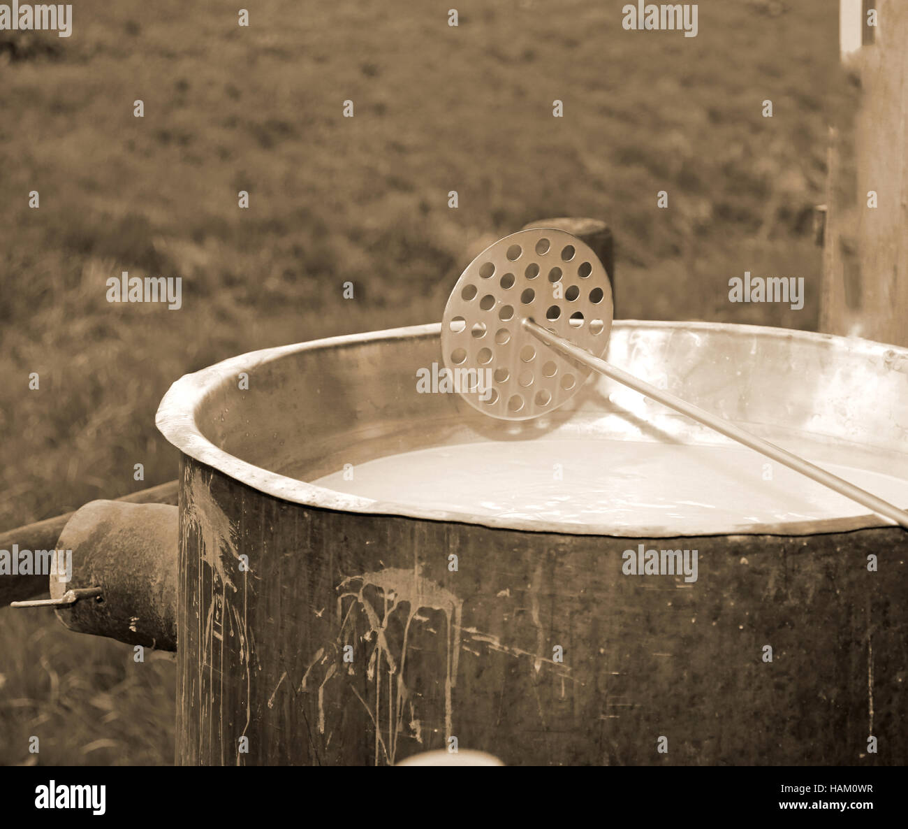 special tool to mix the rennet milk in the copper cauldron to produce ...