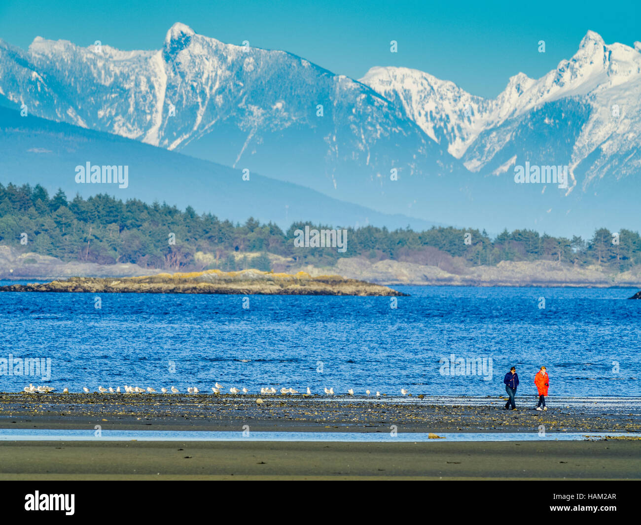 Beach walk on Vancouver Island Stock Photo Alamy