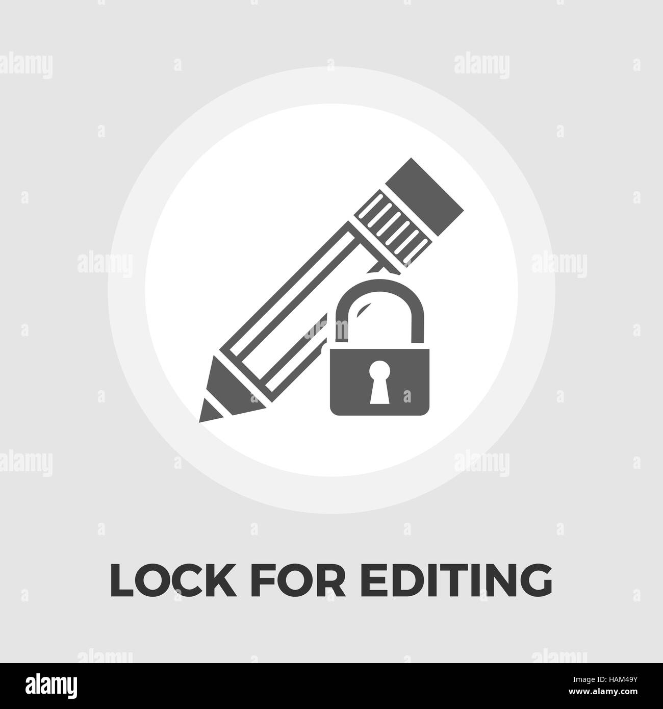 Lock for editing icon vector. Flat icon isolated on the white ...