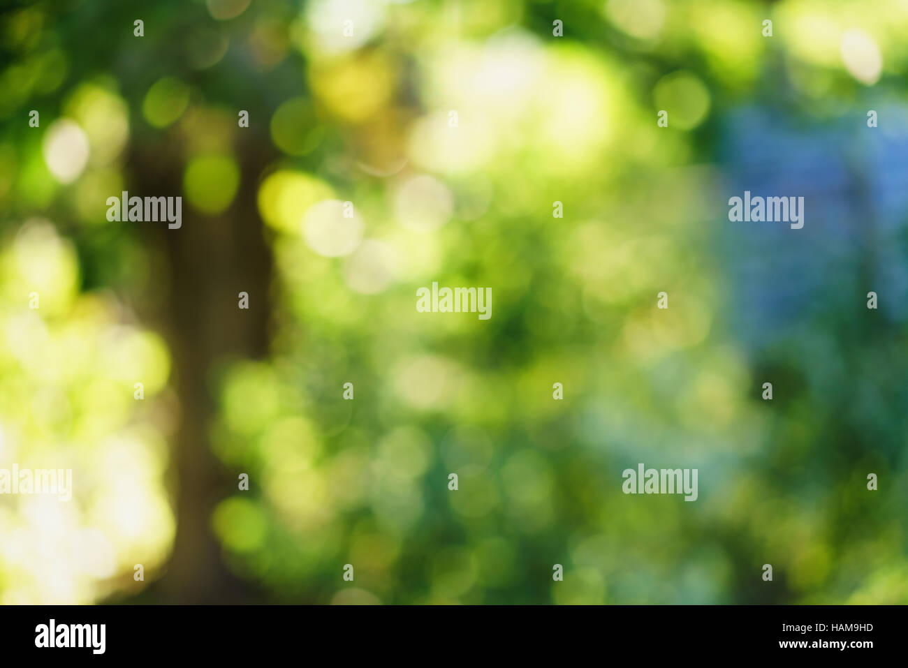 abstract summer bokeh blur background Stock Photo - Alamy