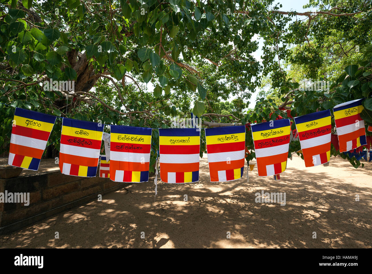 International Buddhist flags, Sacred City of Anuradhapura, North Central Province, Sri Lanka Stock Photo