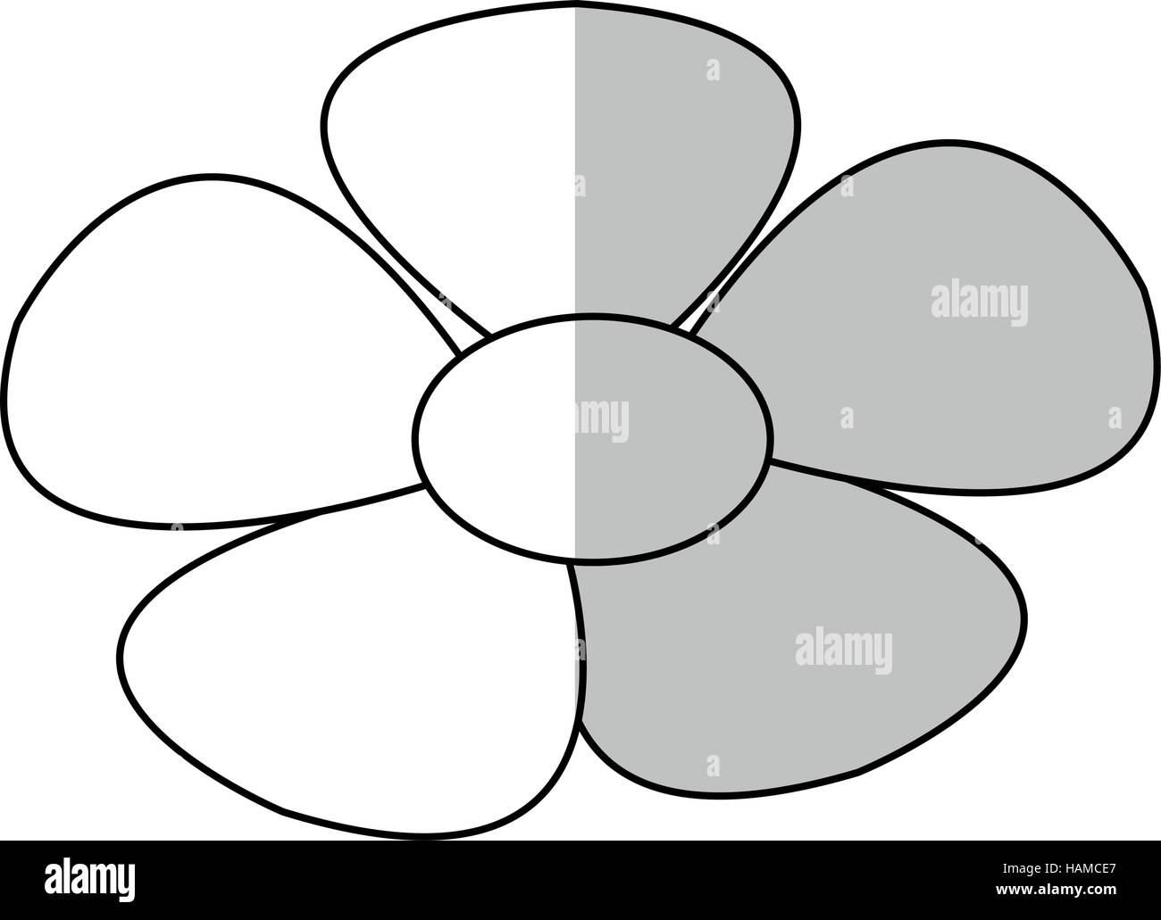 Isolated flower design Stock Vector Image & Art - Alamy
