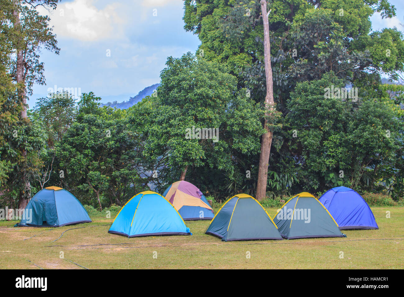Camping in the wilderness, tent on campground in morning Stock Photo