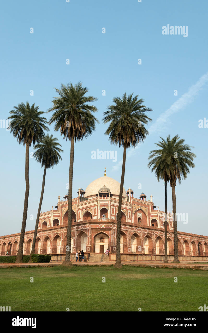 Humayuns tomb palm trees delhi hi-res stock photography and images - Alamy