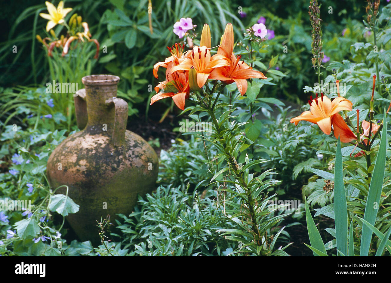 Gardenimpression Stock Photo