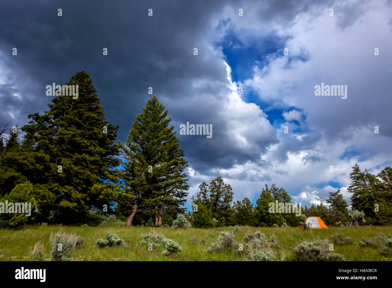 A tent pitched on the Hellroaring Trail in Yellowstone National Park Stock Photo