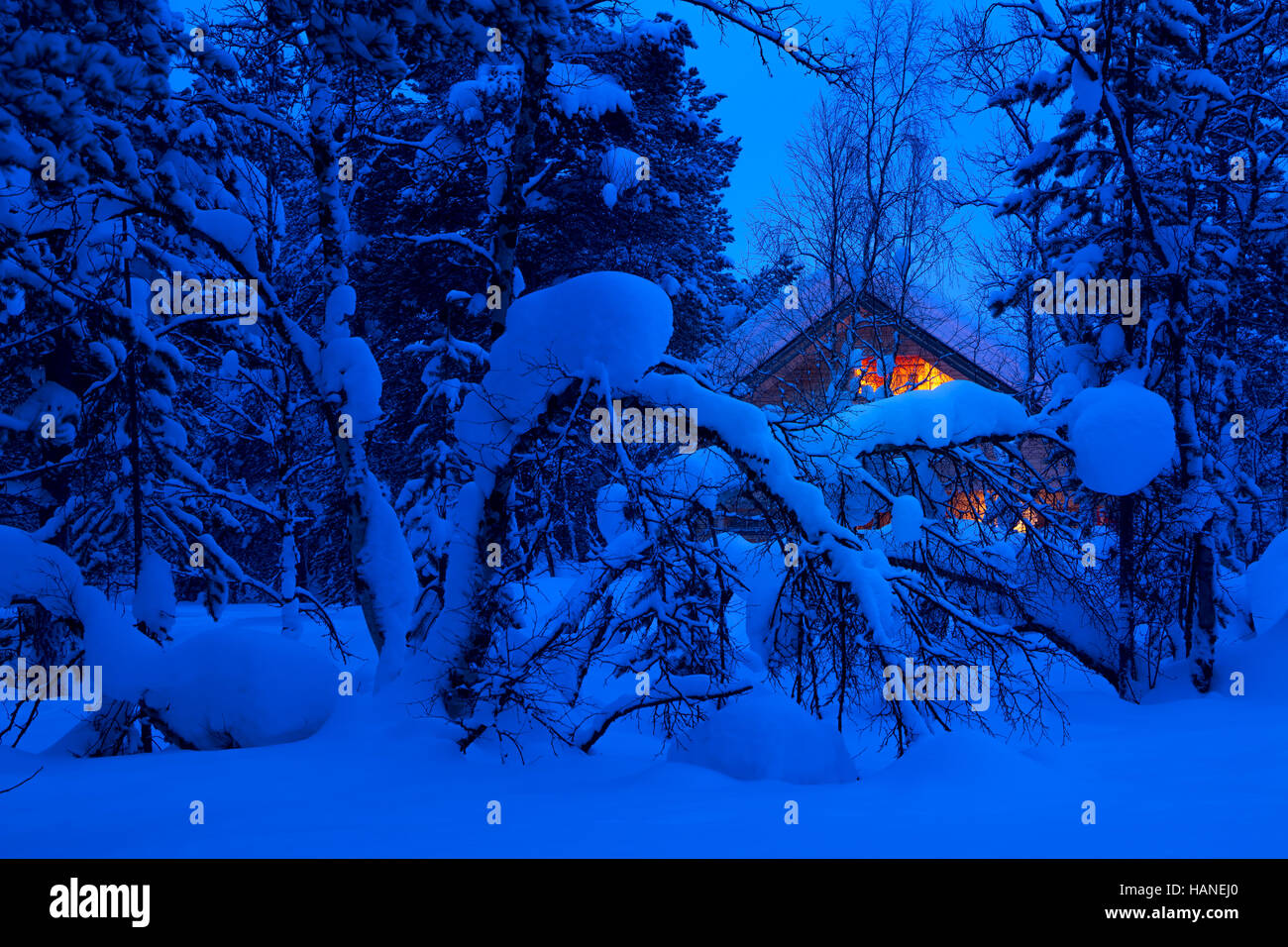 Winter evening in the woods. A lot of snow. Lighted cottage in the background Stock Photo
