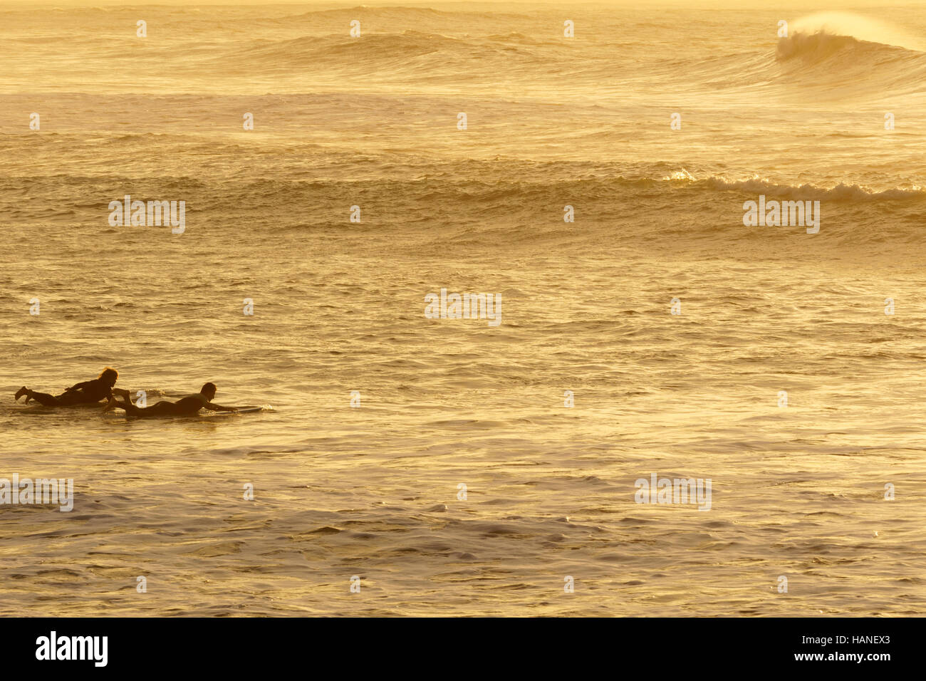 Two men row with their longboard to the waves in the Caños de Meca at sunrise, in the background sandstones cliffs Stock Photo