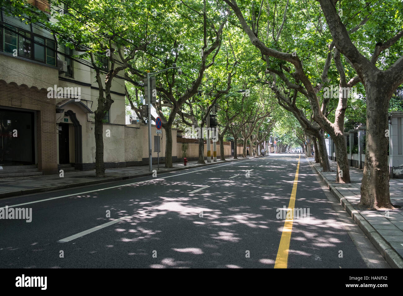 Quiet tree lined street in Shanghai China Stock Photo - Alamy
